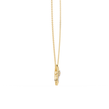 586